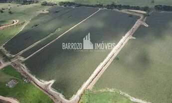 Imagem 2: Barrozo Imóveis - Fazenda a venda com 325 ha (67.14 alq) toda no pasto e plantação milho