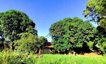 Imagem 6: Sítio à venda, 121000 m² por R$ 1.750.000,00 - Centro - Toledo/PR