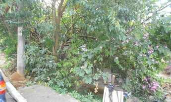 Imagem 3: Terreno em Vila Pereira Barreto - São Paulo, SP