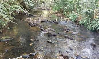 Imagem: Sitio em cajuru 6 alqueires 1.500.000.00