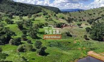 Imagem 3: Fazenda 60 Alqueires (290,4 Hectares) Goias velho - GO