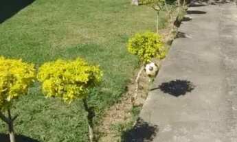 Imagem 6: Casa com 4500 metros de terreno com 3 quartos em Alvorada (Bacaxá) - Saquarema - RJ