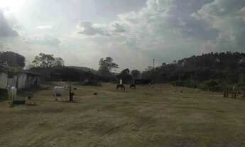 Imagem 6: Sítio à Venda, Floresta Escura, São Pedro, SP