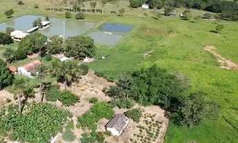 Imagem 5: Fazenda de 159 hectares em Buritis, Minas Gerais