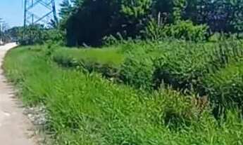 Imagem 4: Vendo terreno em Florestinha