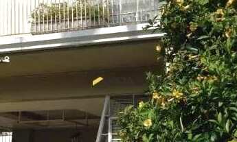 Imagem 4: Casa com 3 dormitórios, 600 m² - venda por R$ 2.300.000,00 ou aluguel por R$ 7.500,00/mês