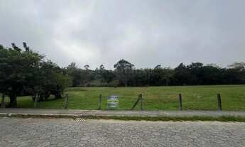 Imagem 7: Terreno plano 10.000m²