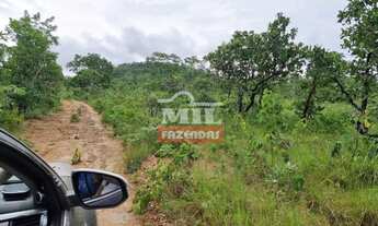 Imagem 5: Fazenda 140 alqueires (677 Hectares) Colinas Do Sul - Go