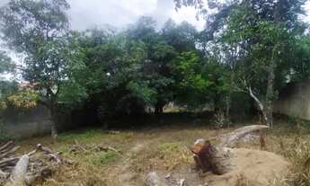 Imagem 5: Terreno 1.500 m² Todo Murado Bairro Estâncias Imperiais Ótimo para Investir