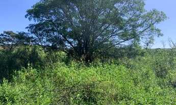 Imagem 5: Terreno 2ha rio das Velhas passando no fundo próximo ao centro local, Baldim