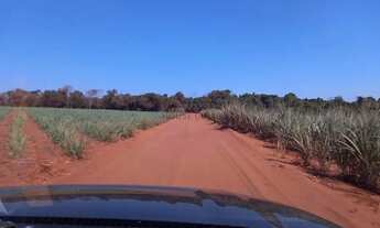 Imagem 7: Fazenda de 150 alqueires (360 hectares), com 100 alqueres plantado de cana em Ub