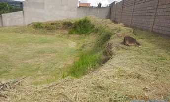 Imagem 6: TERRENO - PARQUE DOS COCAIS - SP