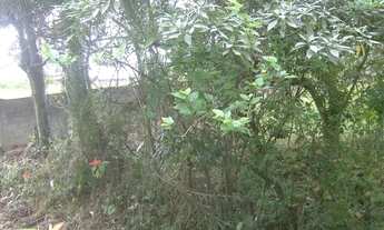 Imagem 2: Lote em Rua José de Moraes Costa - Granja Viana - Cotia/SP