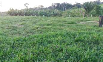 Imagem: Vende-se uma linda fazenda