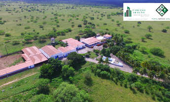 Imagem 4: Fazenda de 485 tarefas, 2 sedes, 14 mil m2 de construção