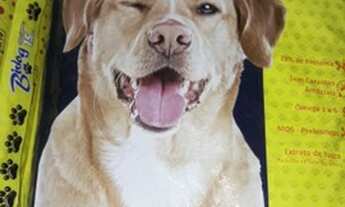 Imagem 3: Casa Casa com 2 dormitórios