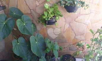 Imagem 4: Casa à venda, 131 m² por R$ 460.000,00 - São Cristóvão - Rio de Janeiro/RJ