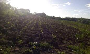 Imagem 5: Lindo Sítio de 37 hectares.!!! st483