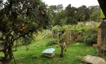 Imagem 5: Porto Alegre - Terreno Padrão - Hípica