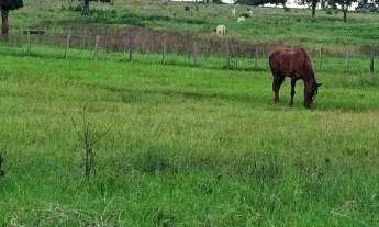 Imagem 4: Fazenda para Agricultura