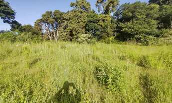 Imagem 6: Porto Alegre - Terreno Padrão - Campo Novo