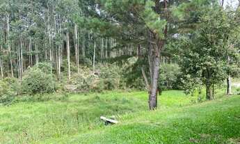 Imagem 7: Lindo terreno em Rio Rufino