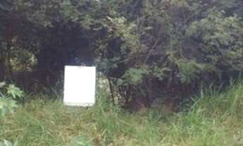 Imagem 3: Porto Alegre - Terreno Padrão - Imperial Parque