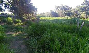 Imagem 2: Sitio 7.5 alqueires com 5.5 em cana, bem arrendado- no asfalto, completo valor 2.250.000