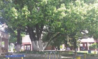 Imagem 5: CANOAS - Padrão - Moinhos de Vento