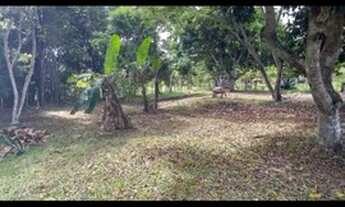 Imagem 3: SITIO EM ITACARÉ BAHIA. VENDO OU TROCO