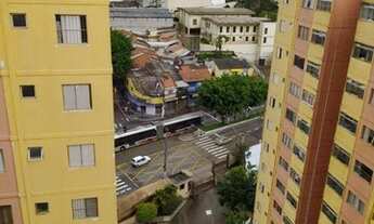 Imagem 5: APARTAMENTO - JARDIM DAS FLORES - SP