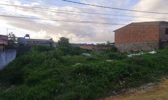 Imagem 2: 2 terreno juntos