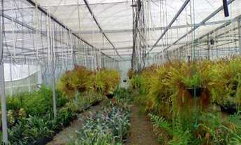 Imagem: PRÓXIMA AO CENTRO URBANO - IDEAL PARA LOTEAMENTO