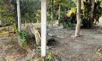 Imagem 7: AREA - PARQUE RESIDENCIAL ITAPETI - SP