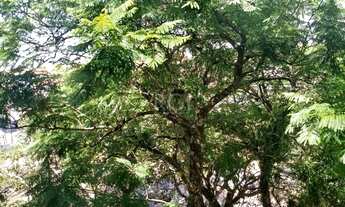 Imagem 13: Porto Alegre - Apartamento Padrão - Jardim Lindóia