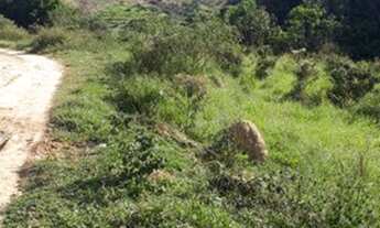 Imagem 2: 1 alqueires de terra