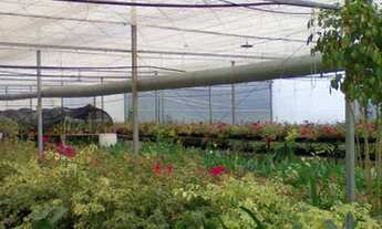 Imagem 2: PRÓXIMA AO CENTRO URBANO - IDEAL PARA LOTEAMENTO