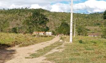 Imagem 3: Excelente Fazenda Próximo a Mundo Novo