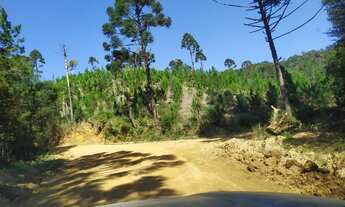 Imagem 2: Fazenda Vale Verde 74 Alqueires - Tunas do Paraná - Paraná - Marques de Abrantes