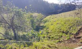 Imagem 6: Sítio com 9 hectares na localidade de Ribeirão Vitória - Braço do Trombudo - SC