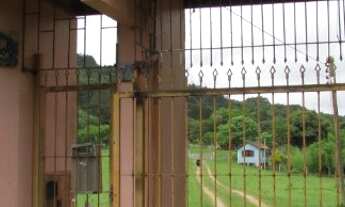 Imagem 2: Porto Alegre - Sítio - Lageado