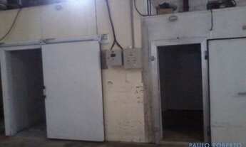 Imagem 5: GALPÃO - BUTANTÃ - SP