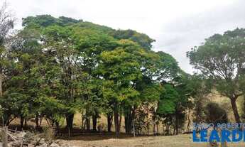Imagem 6: CHACARA - PINHEIRINHO - SP