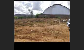 Imagem 3: Terrenos em Timbaúba