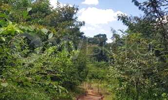 Imagem 3: Lote Jardins Barcelona 300m²