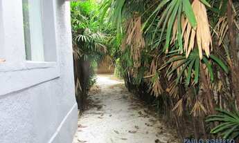 Imagem 3: COMERCIAL - JARDIM PAULISTANO - SP