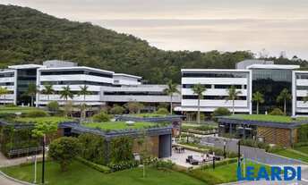 Imagem: COMERCIAL - SACO GRANDE - SC