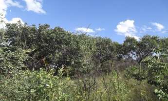 Imagem 6: Grande oportunidade, chácara de 10.000m² no ?pé? da Serra do Cipó (Temos varias opções)