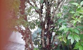 Imagem 6: SOBRADO - JARDIM TARUMÃ - SP