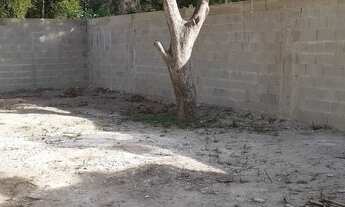 Imagem 3: Terreno plano e murada de 150m2. Ótimo bairro!